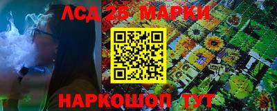 крисы Гагарин