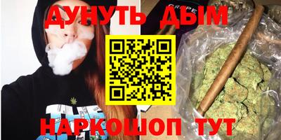 крисы Гагарин