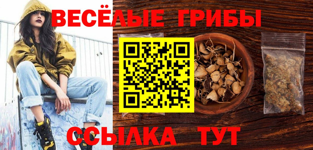 Псилоцибиновые грибы GOLDEN TEACHER  Вход с VPN  Мытищи  магазин    Галлюциногенные грибы мухоморы 
